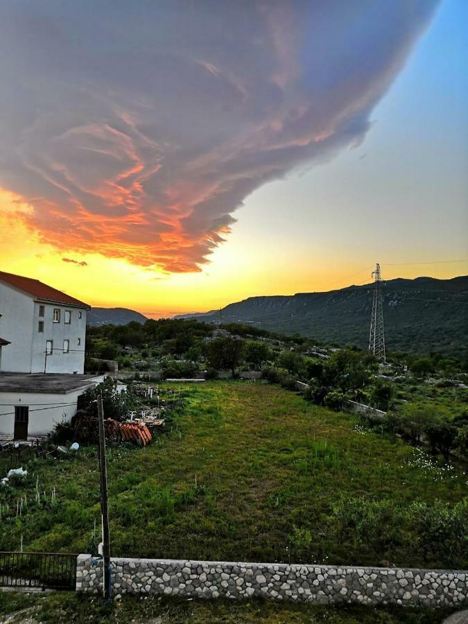 Vila Zdenka Novi Vinodolski Εξωτερικό φωτογραφία